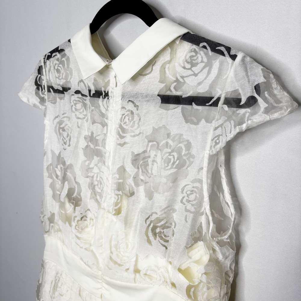 Unique Vintage Retro Ivory Rose Dress Lace Overlay Peter Pan Collar Size XL - Picture 4 of 11